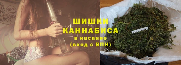 твердый Магас