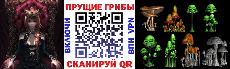 Псилоцибиновые грибы Psilocybine cubensis  Новый Уренгой 