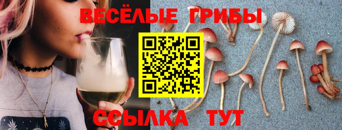 купить наркотик  Псилоцибиновые грибы мицелий  Вход с VPN  Новый Уренгой  Галлюциногенные грибы мухоморы 