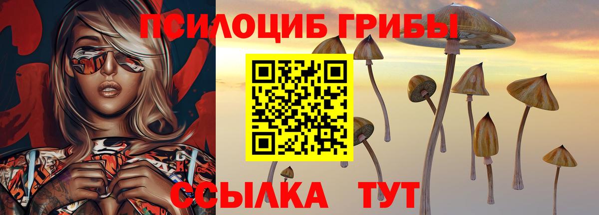 Псилоцибиновые грибы прущие грибы Новый Уренгой